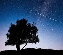 建筑中标查询网站-Jiuyou Sports