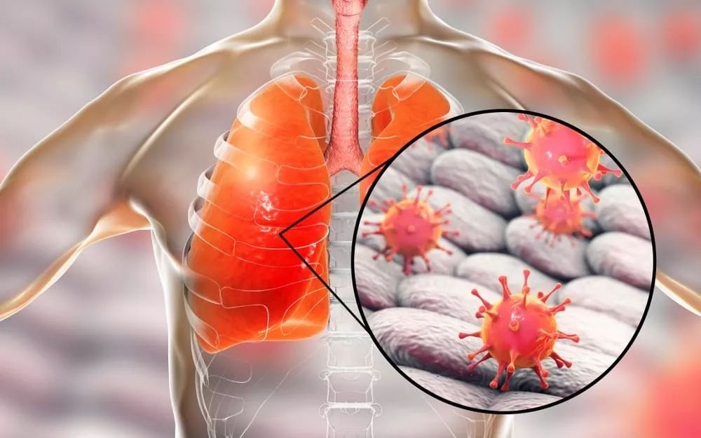 关于风云突变浙江稠州转会期完成体检，德国杯版图或变，引发热议，医务组通报恢复的信息-九游体育APP